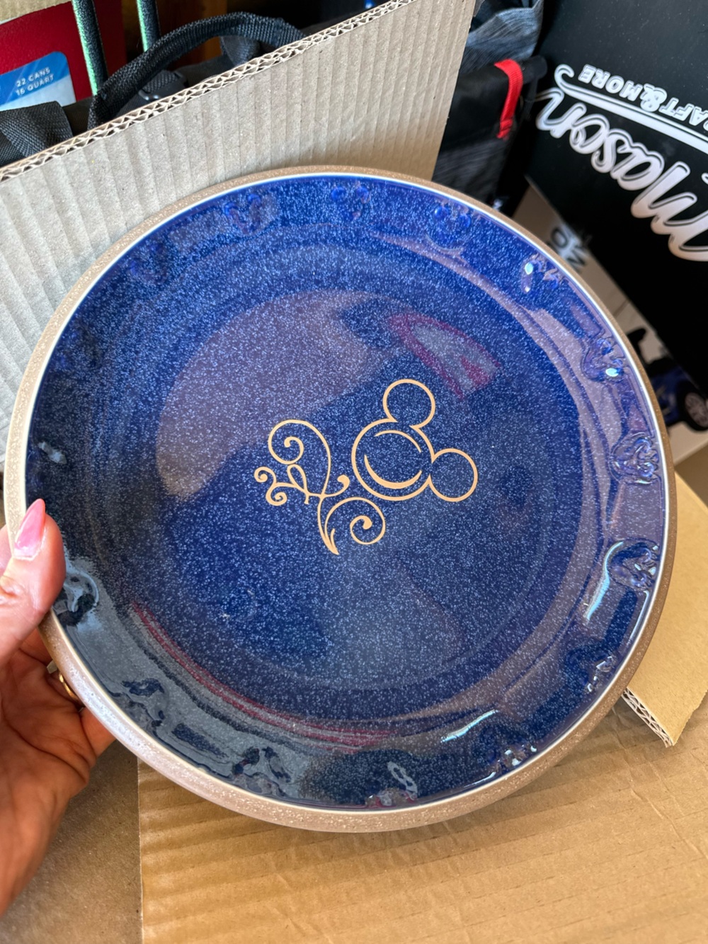 Disney Parks Blue Speckled Stoneware (or Ceramic?) Dinner Plates (Set of 5)